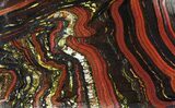 Polished Tiger Iron Stromatolite - ( Billion Years) #95898-1